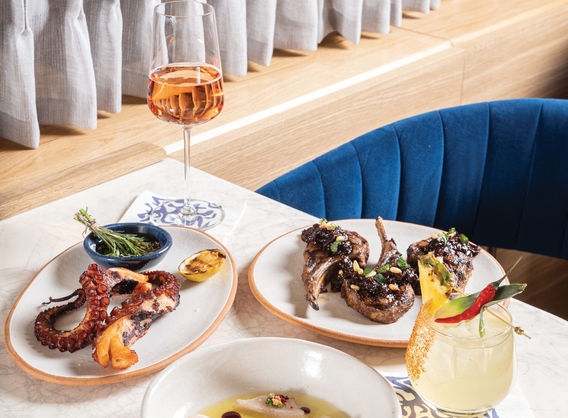 Kini's food starters octopus greek mediterranean