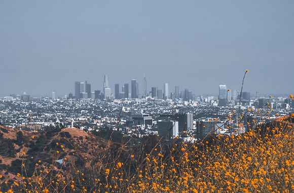 david-whipple-mU-wz7JlJMc-unsplash_Ravid.jpg