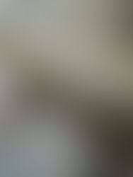 Evka 2 Tadilat Dekorasyon Mobilya Mimari İşleri - 0555 976 73 08 - Karşıyaka, Balçova, Bayraklı, Bornova, Buca, Çiğli, Konak, Menemen, Narlıdere, Bahçelievler, Mavişehir, Atakent, Yalı Mahallesi, Nergiz, Goncalar, Bostanlı, Donanmacı Mahallesi, Aksoy, Fikri Altay, Demirköprü, Alaybey, Yunuslar, Girne, Yeni Girne, Örnekköy, Soğukkuyu'da; iç mimar ve ustalarla güvenilir mutfak tadilatı, banyo tadilatı, komple ev yenileme, iç mimari tadilat, marangozluk, dekorasyon ve mobilya hizmeti sunuyoruz.