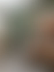 Bornova Tadilat Dekorasyon İşleri - 0555 976 73 08 - Bornova Tadilat Dekorasyon Mobilya Mimari İşleri