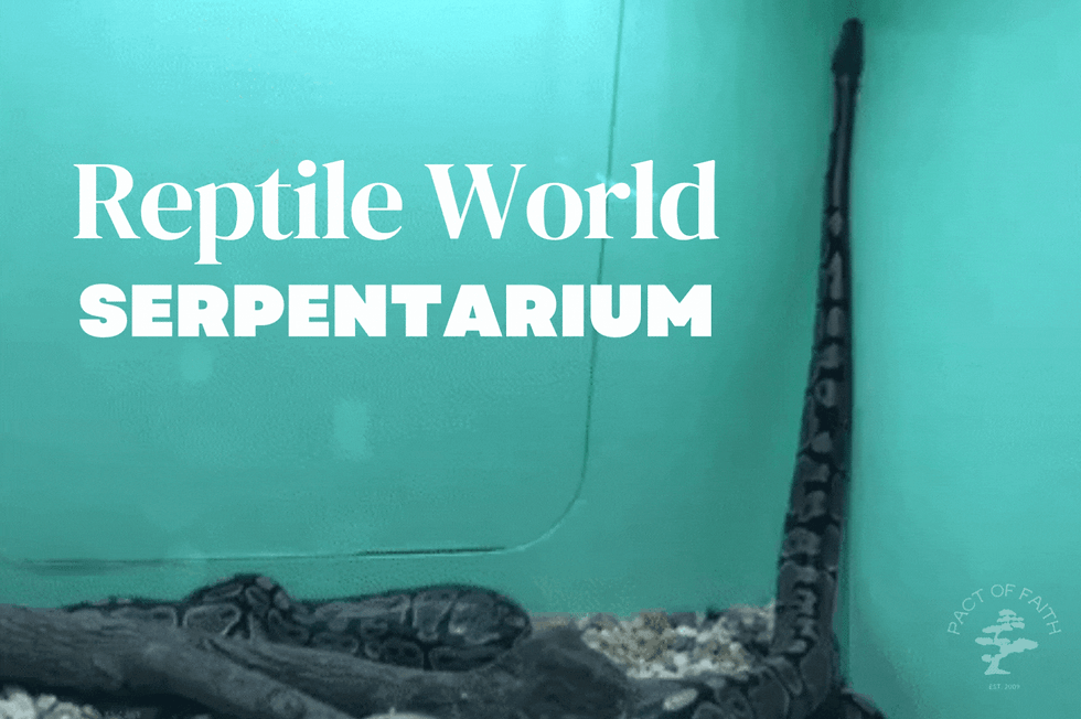 Reptile World Serpentarium