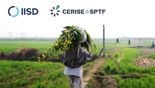 Empowering Agribusinesses: The New Responsible Agricultural Investment Tool