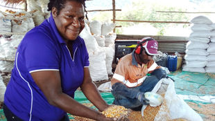 Women in Agriculture: Reflections from Papua New Guinea