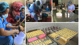 Site Visit: Coconut social enterprise in cambodia