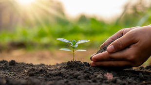 Save Nature Please: A behaviour change framework for conservation
