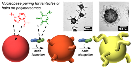 chemscitoc.png