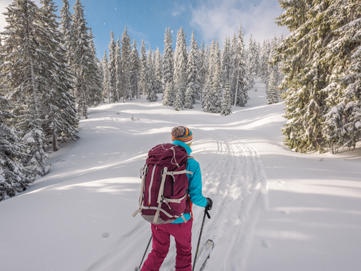 Ski Touring in Chamonix