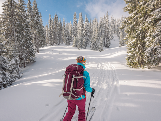 Ski Touring in Chamonix 