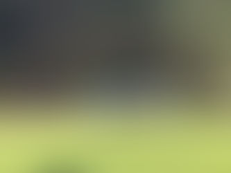 Frauen besiegen Viktoria Cottbus