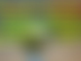 Hallenturniere am Wochenende!