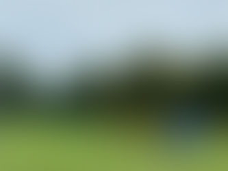 Frauen: Sieg gegen Wilmersdorf/Peitz 6:1 (4:1)