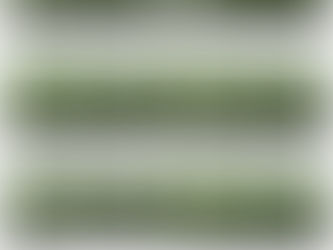 Vorschau zum Wochenende!