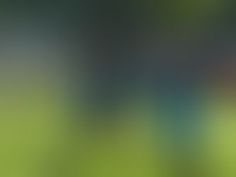 Sieg für die D-Junioren