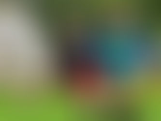 Frauen: Deutliche Niederlage gegen Energie 4:1 (3:1)