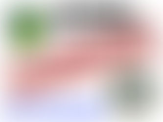 1. Saisonspiel der Männer