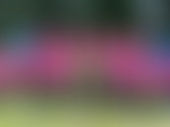 Neue Trikots für die B- Junioren