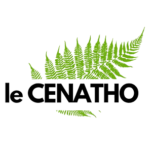 Naturopathe