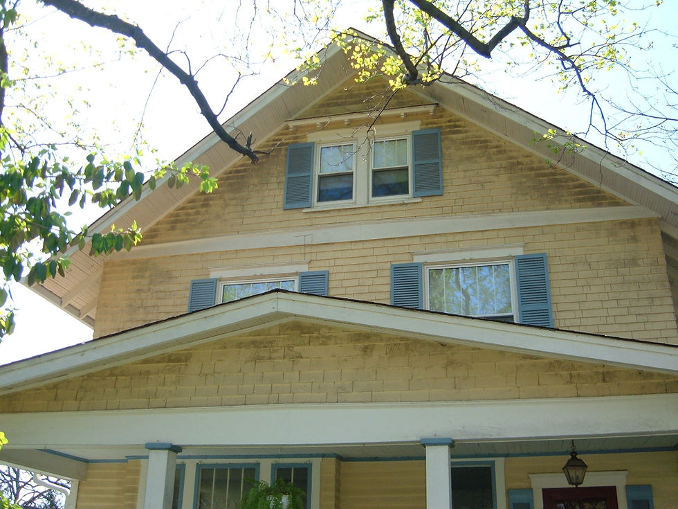 Siding Before Cleaning