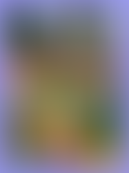 A importância dos brinquedos no desenvolvimento da criança