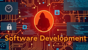 Vulnerabilities in Software: Phishing and Denial of Service Attacks