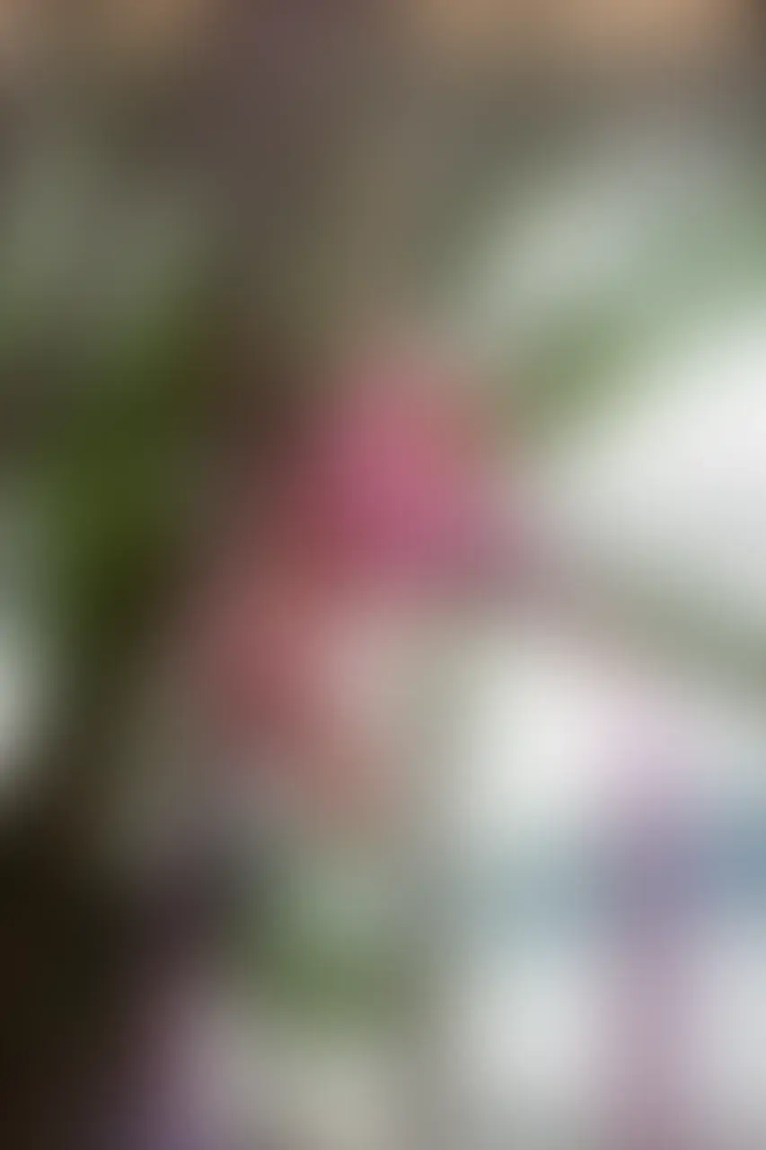 telas copia2.webp