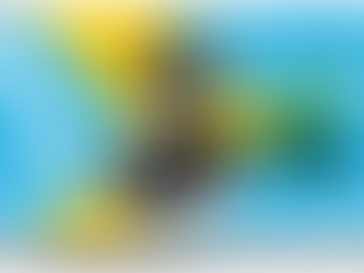 Take Your Place in The Shift: Engage, Support, Participate (Vol. 1, No. 1)