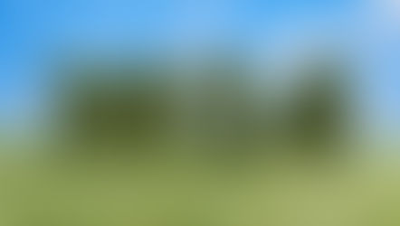 What Will You Create in 2024?