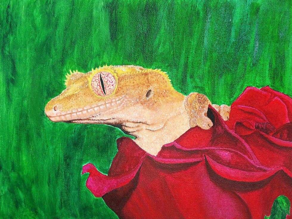 Crested Gecko Portrait - IN PROGRESS