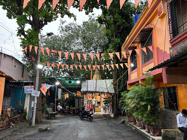 WhatsApp Image 2024-09-23 at 10.03.30_556fef0b.jpg