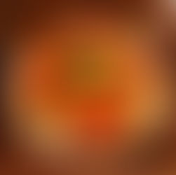 Un piatto di pancake al pomodoro, con basilico
