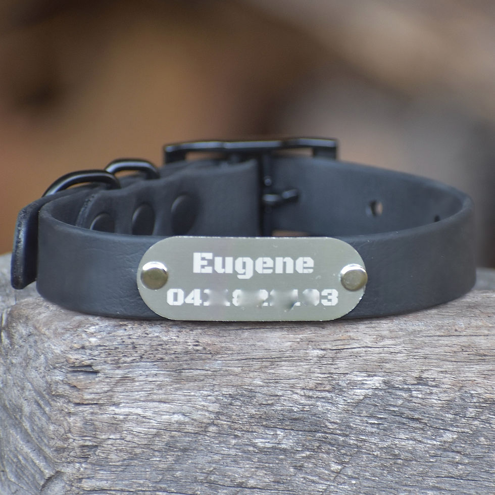 Thumbnail: Engraved Nameplate for Collars