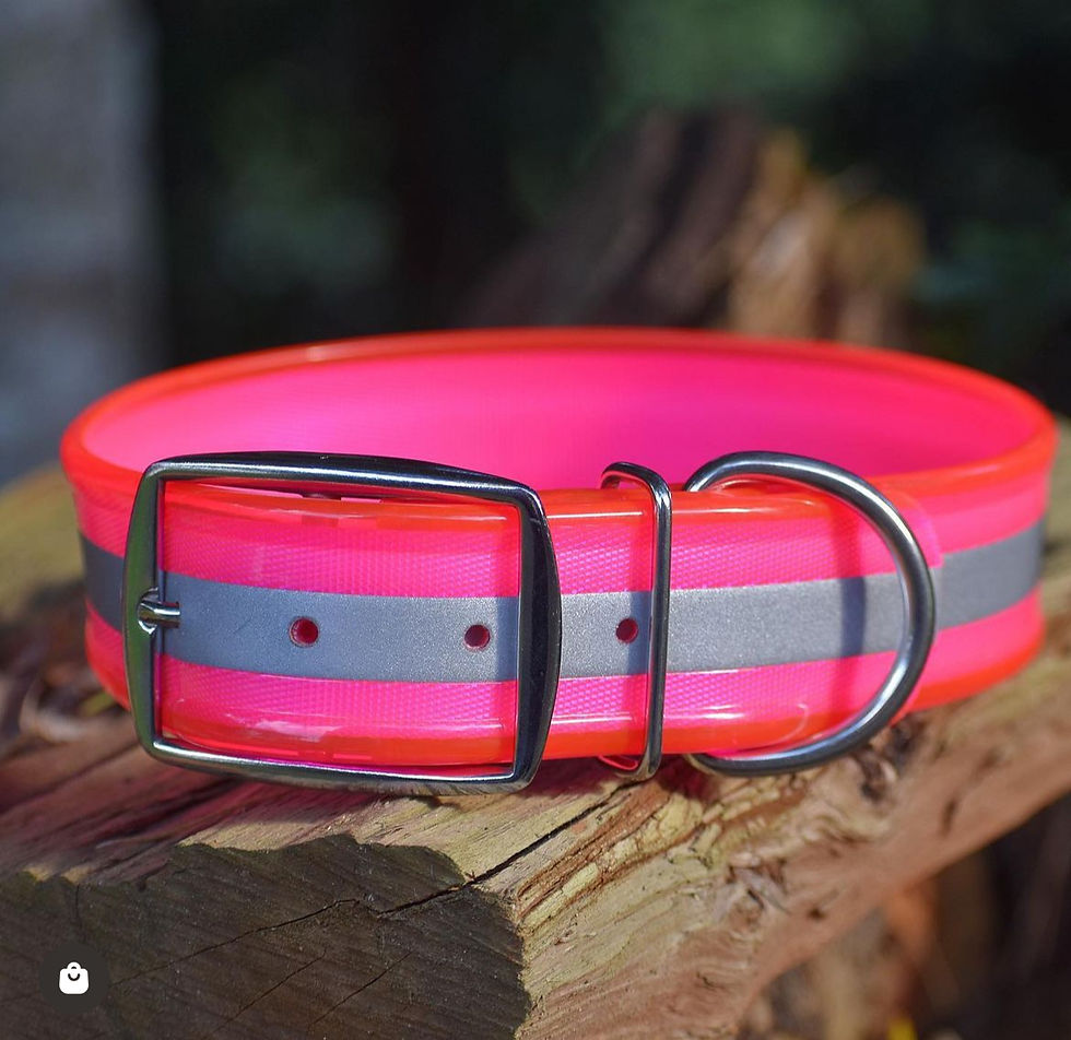 Thumbnail: 1.5” Reflective BioThane® Collar