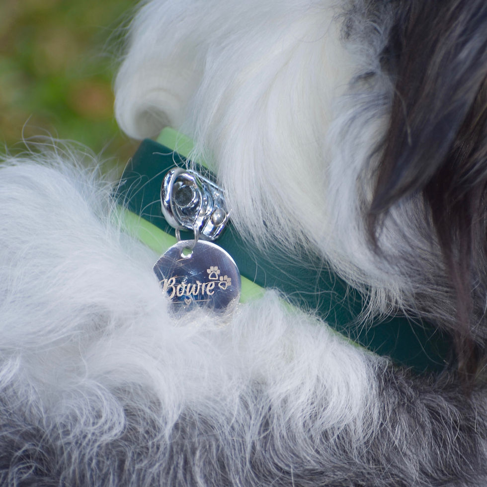 Thumbnail: ID Tag Swivel Collar Attachment