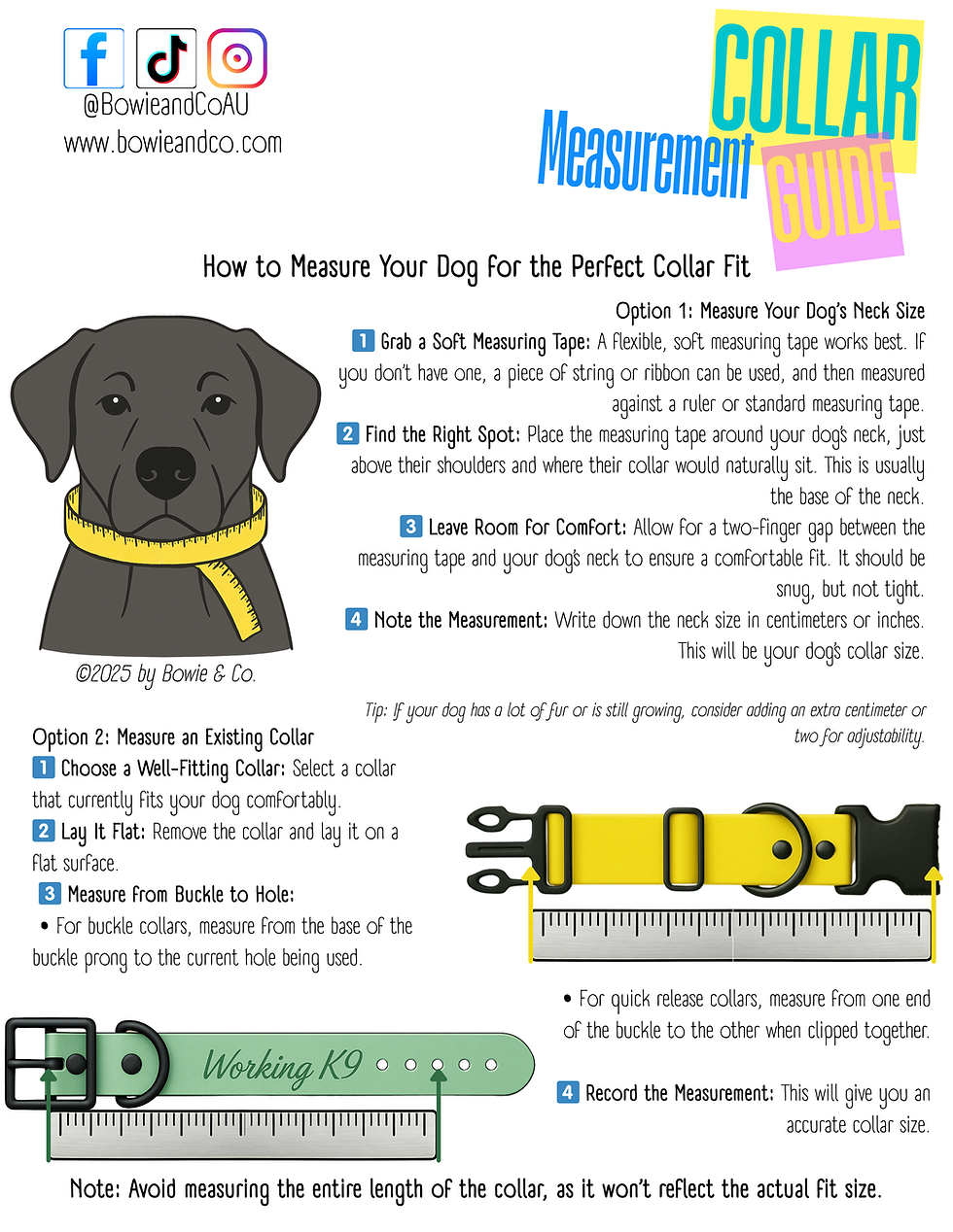 Thumbnail: 1” BioThane® Collar