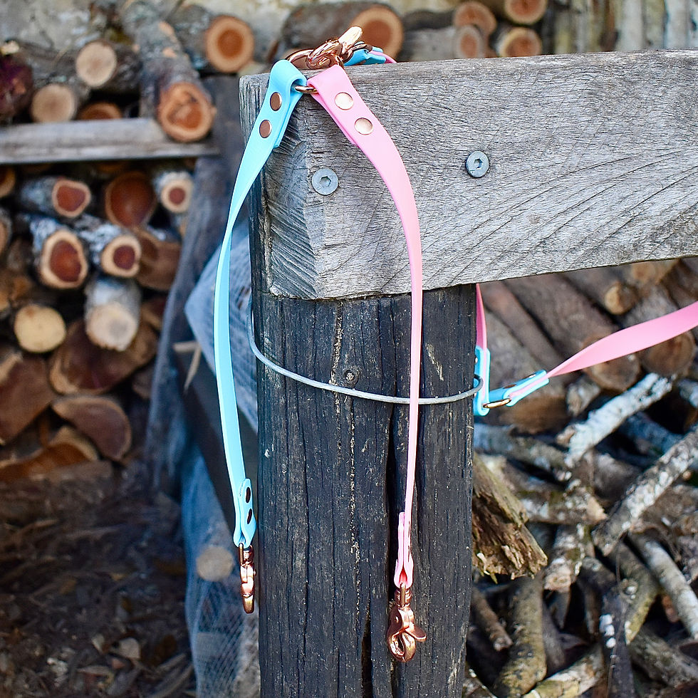 Thumbnail: Two-Toned Biothane® Leash Splitter