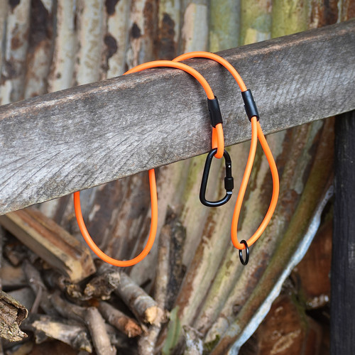 Rope Biothane Leashes | Bowie & Co
