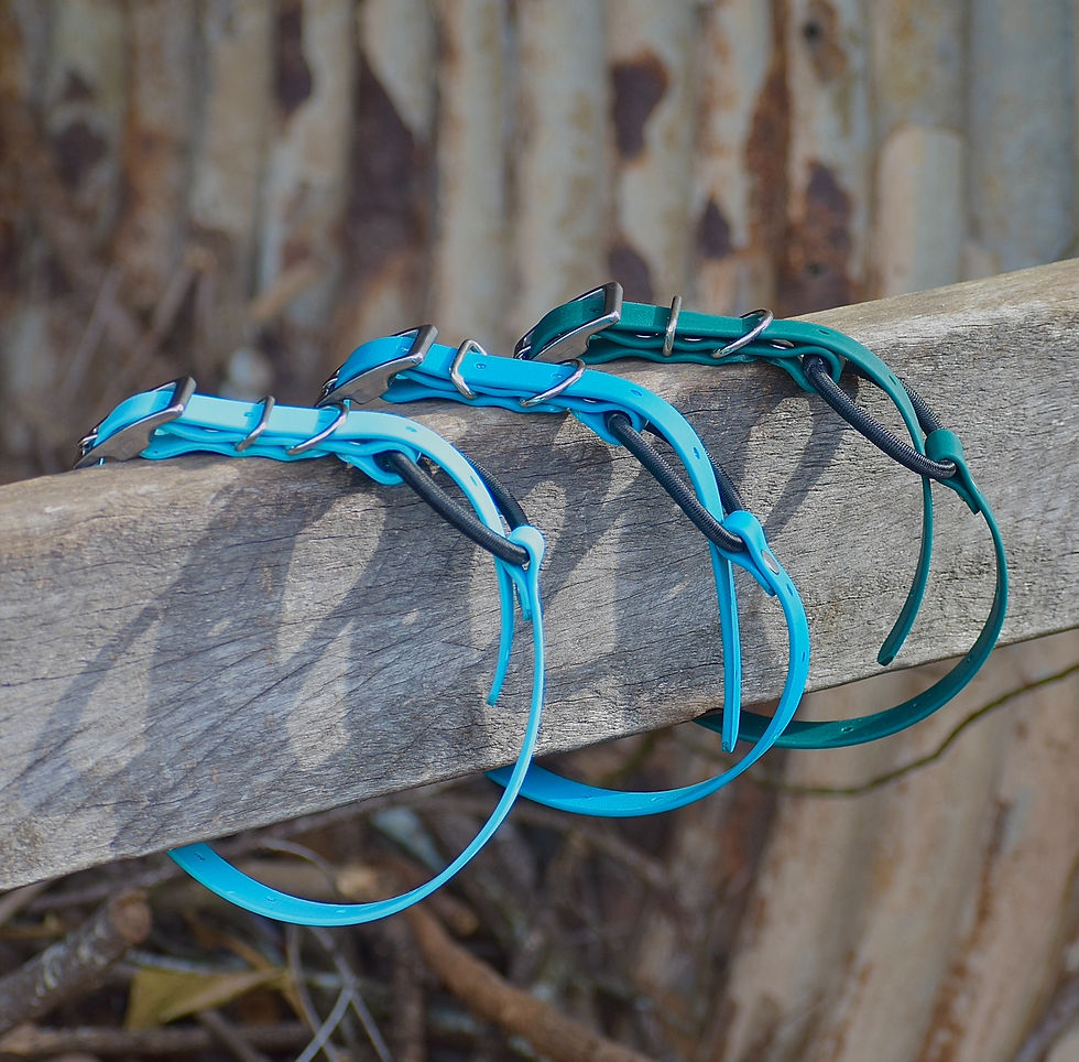Thumbnail: Biothane eCollar Strap 3/4"