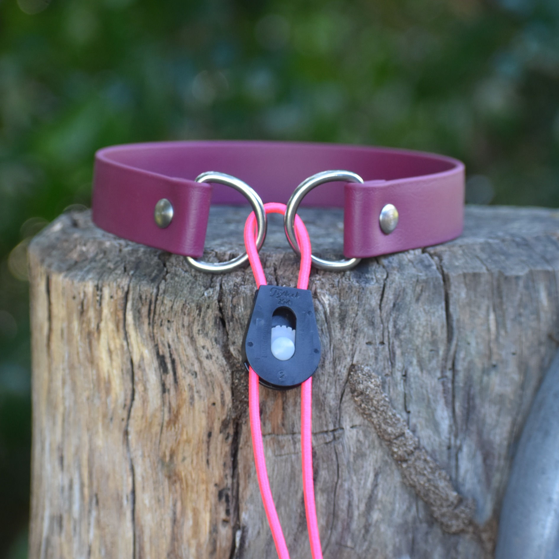 1" Biothane Bungee Ecollar Strap