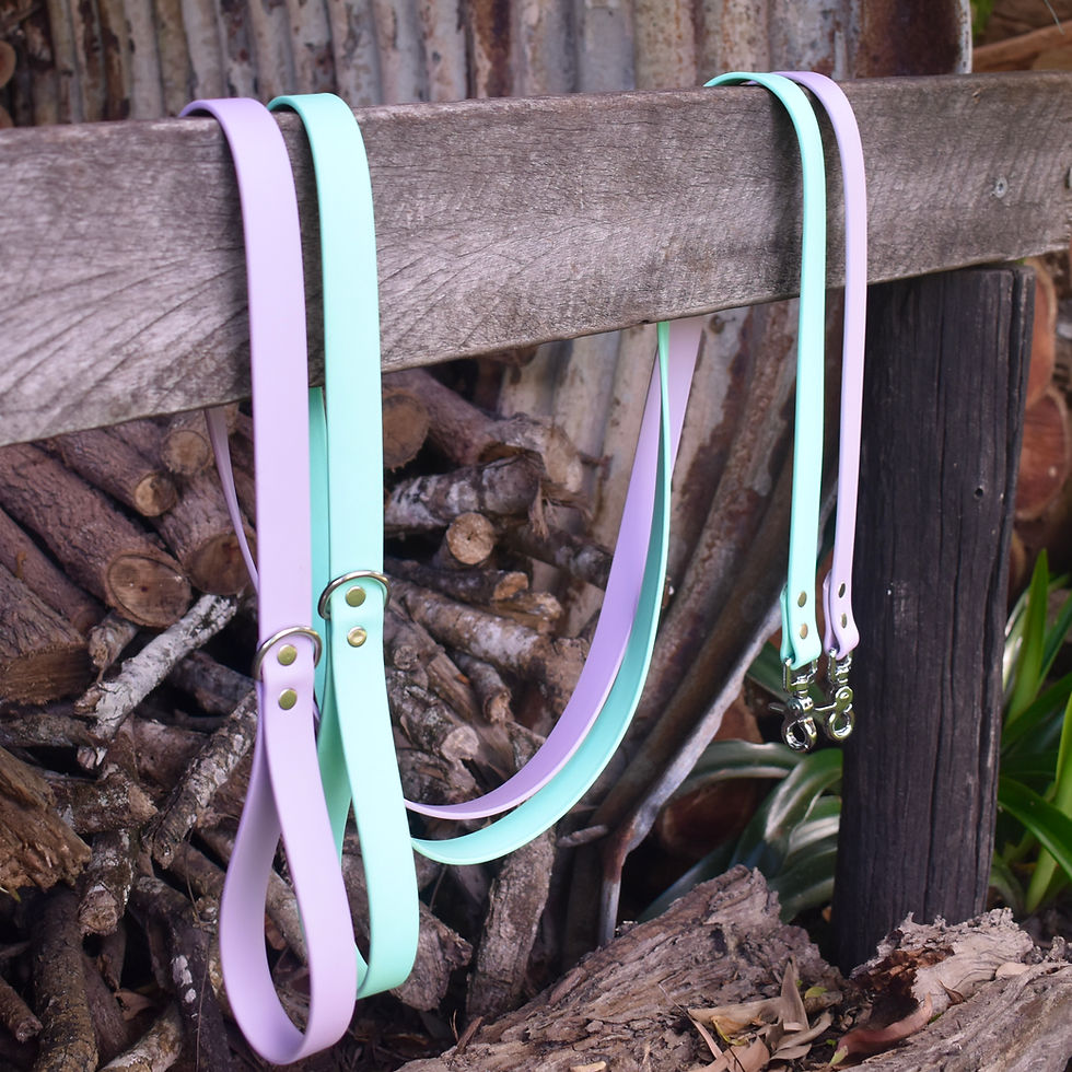 Thumbnail: 1” BioThane® Leash