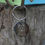 Thumbnail: Round Pet ID Tag