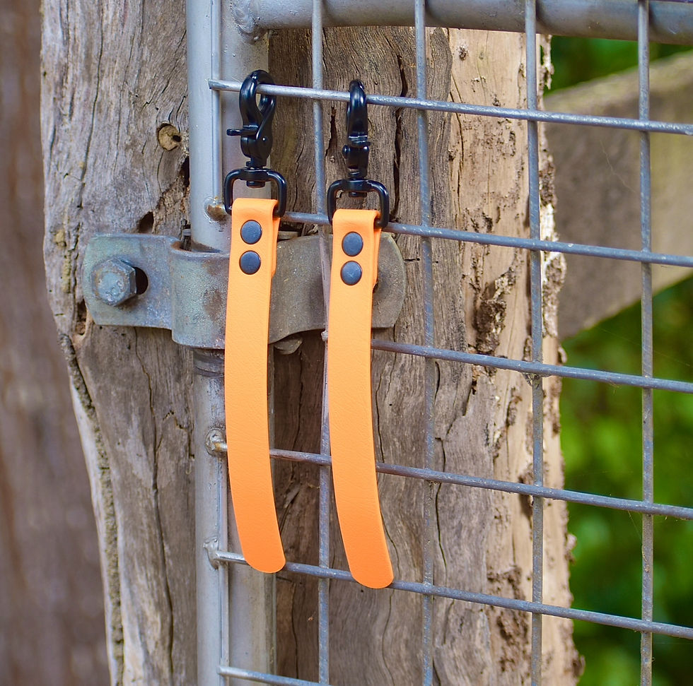 Thumbnail: 3/4 "BioThane® Training Tab