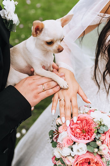 Wedding couple with pet dog