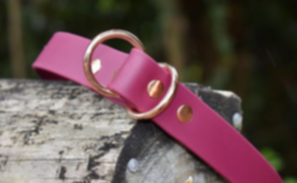 Screen Shot 2021-03-01 at 12.44.03 pm.pn