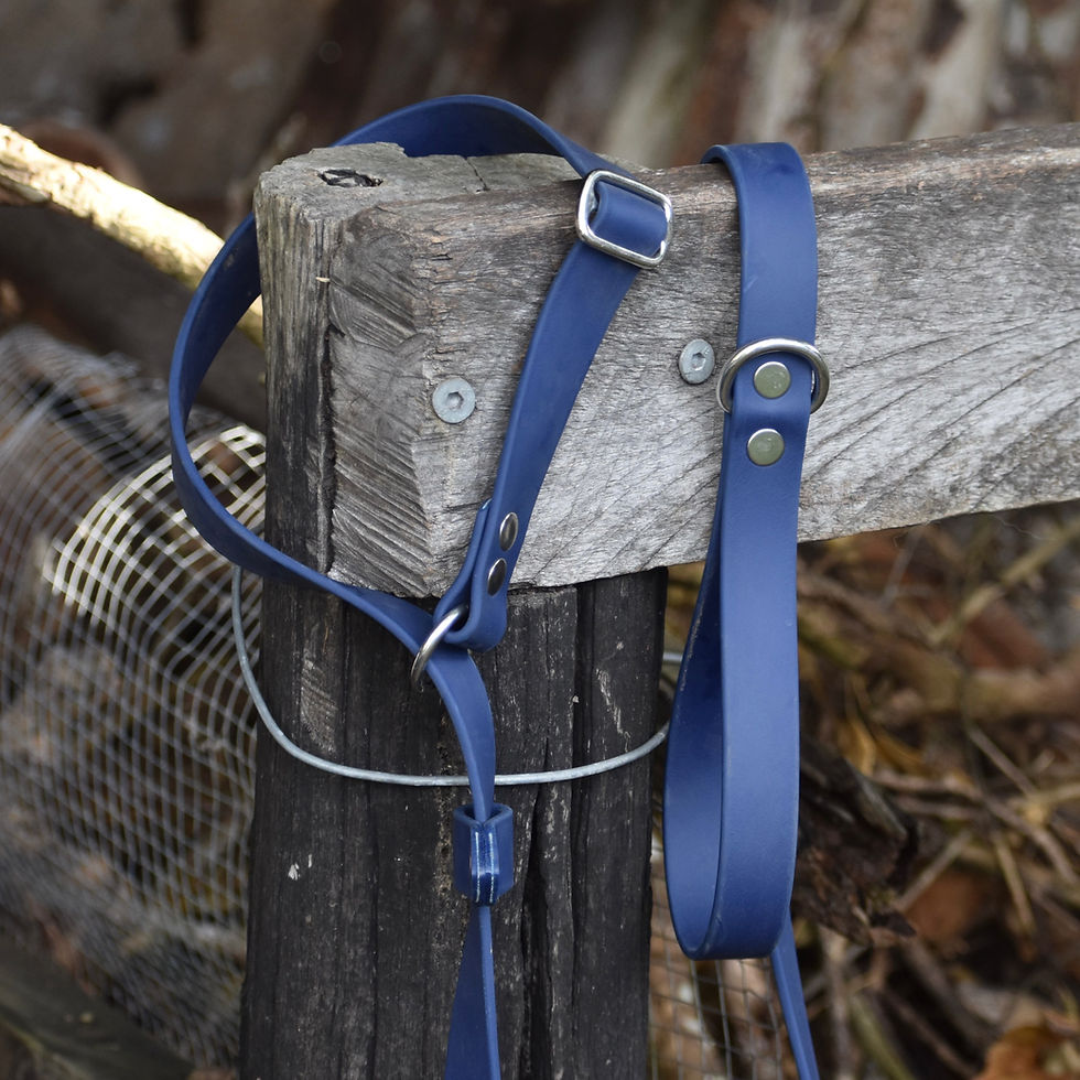 Thumbnail: BioThane® 1" Slip Leash
