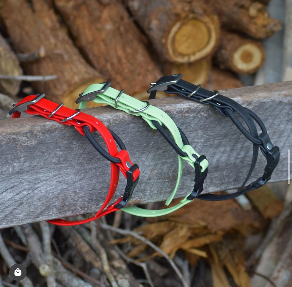 Thumbnail: BioThane® eCollar Strap 3/4"with quick release buckle
