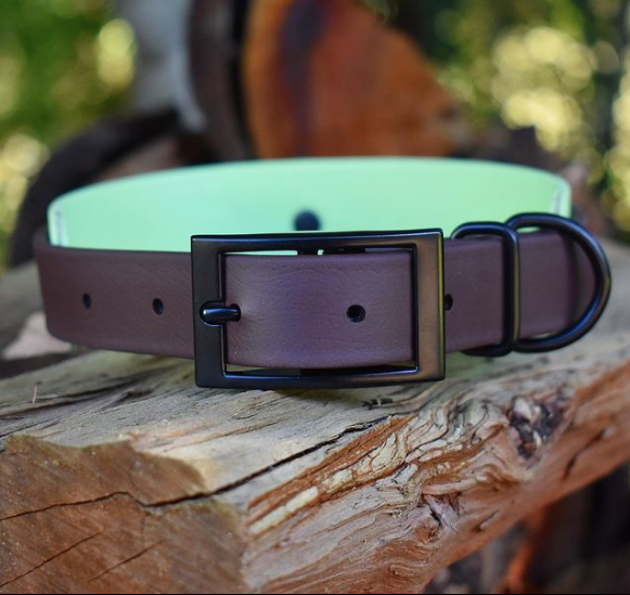 Thumbnail: 1” Double Layered BioThane® Collar