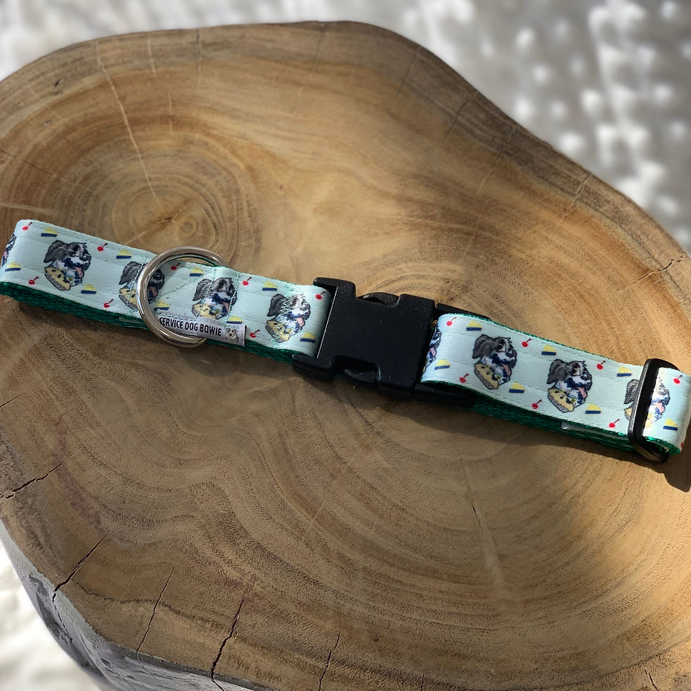 Thumbnail: Bowie's Collar Collection