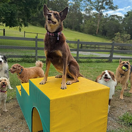 Screenshot 2025-08-10 at 11.13.26 pm.jpeg