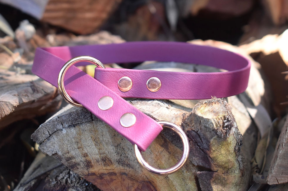 Thumbnail: 3/4" Biothane Slip Collar