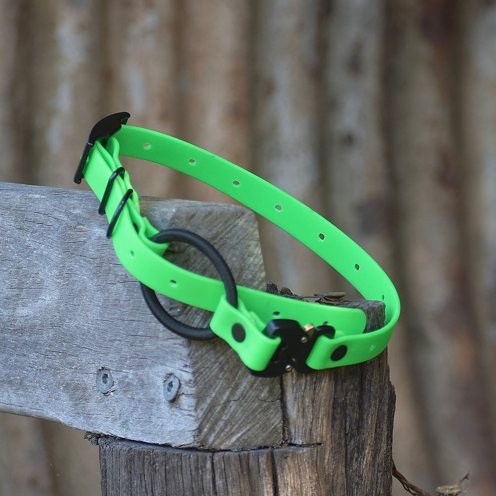 Thumbnail: BioThane® eCollar Strap 3/4"with Cobra buckle